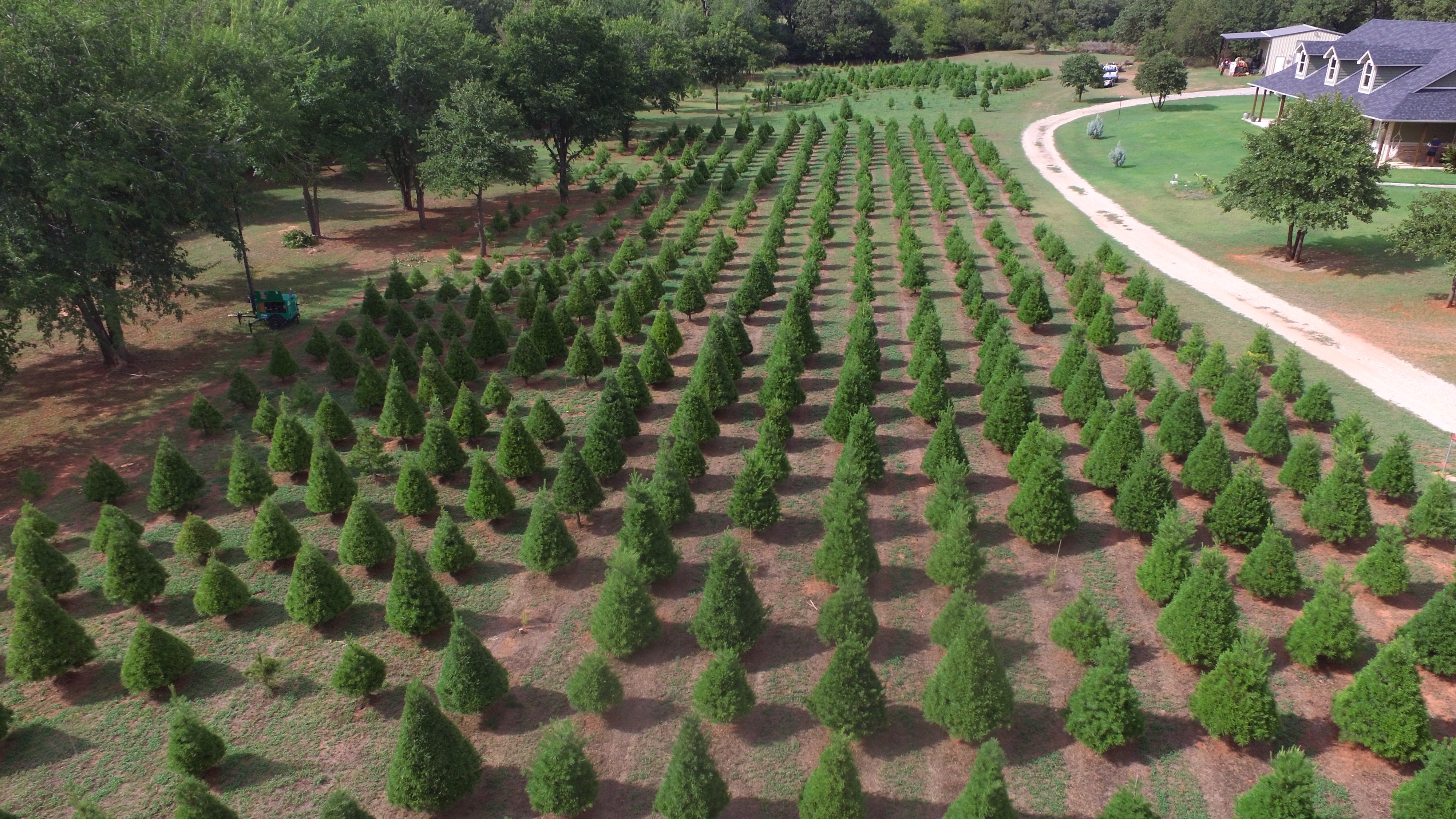 Our Story: How Wells Christmas Tree Farm Began