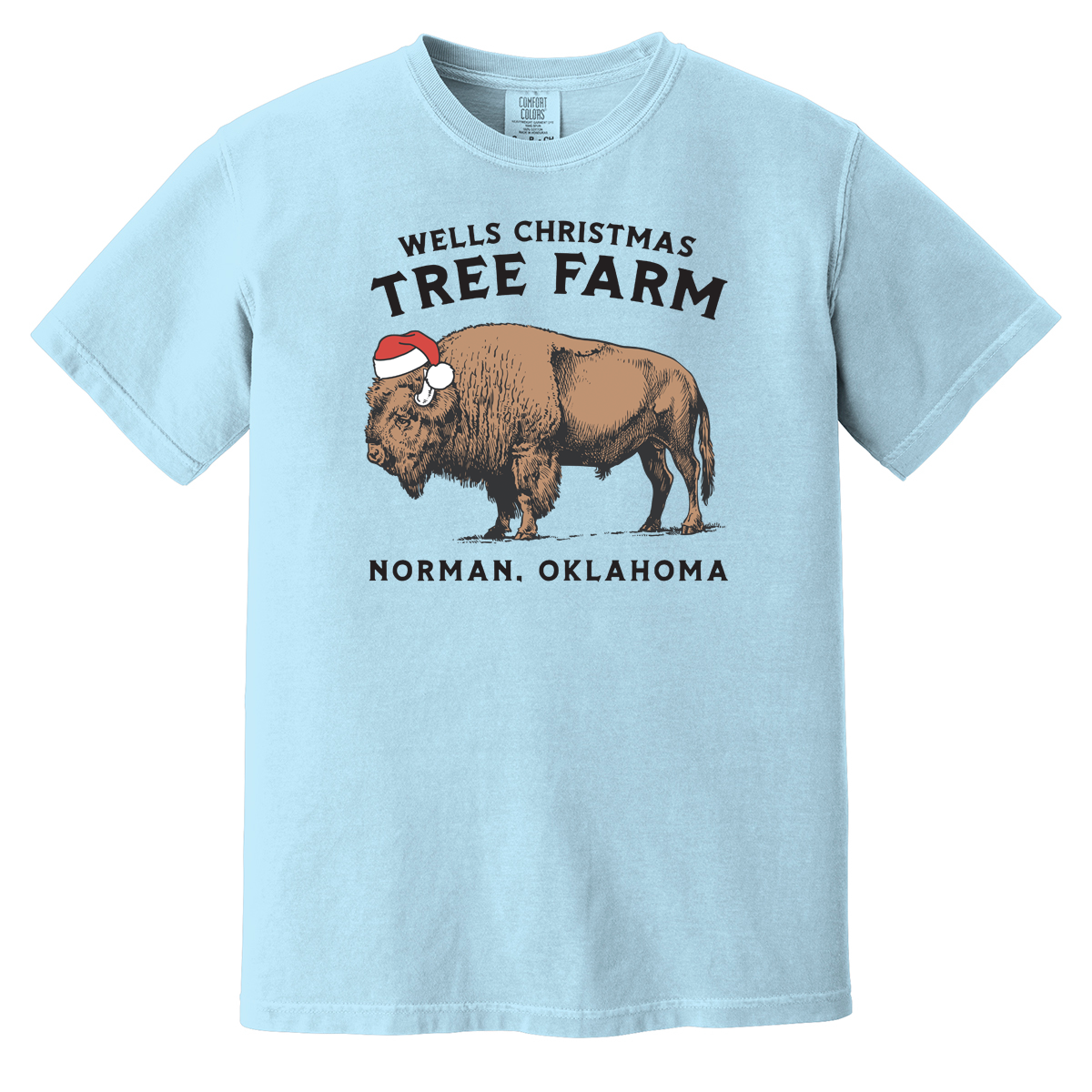 Youth Bison Comfort Colors T-Shirt