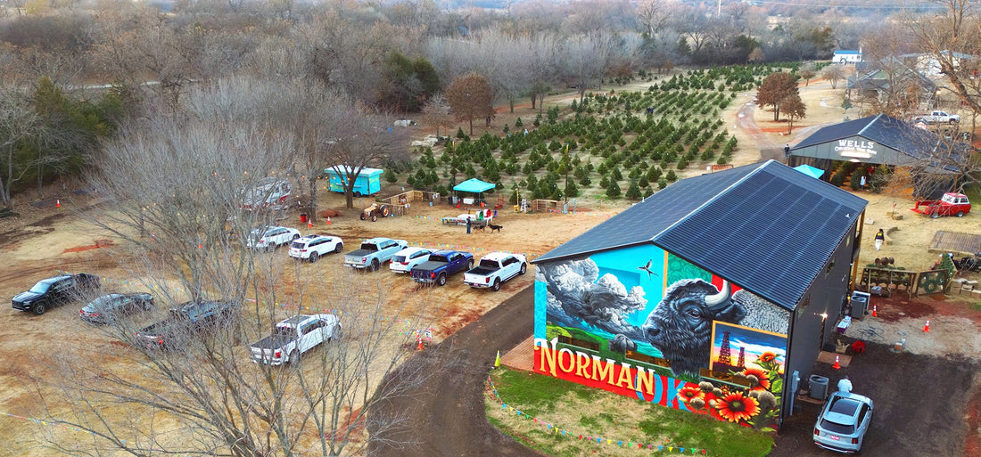 Aerial view of Wells Christmas Tree Farm in Norman, Oklahoma - the Norman mural on the barn, the rows of Christmas trees, and visitors parked along the drive
