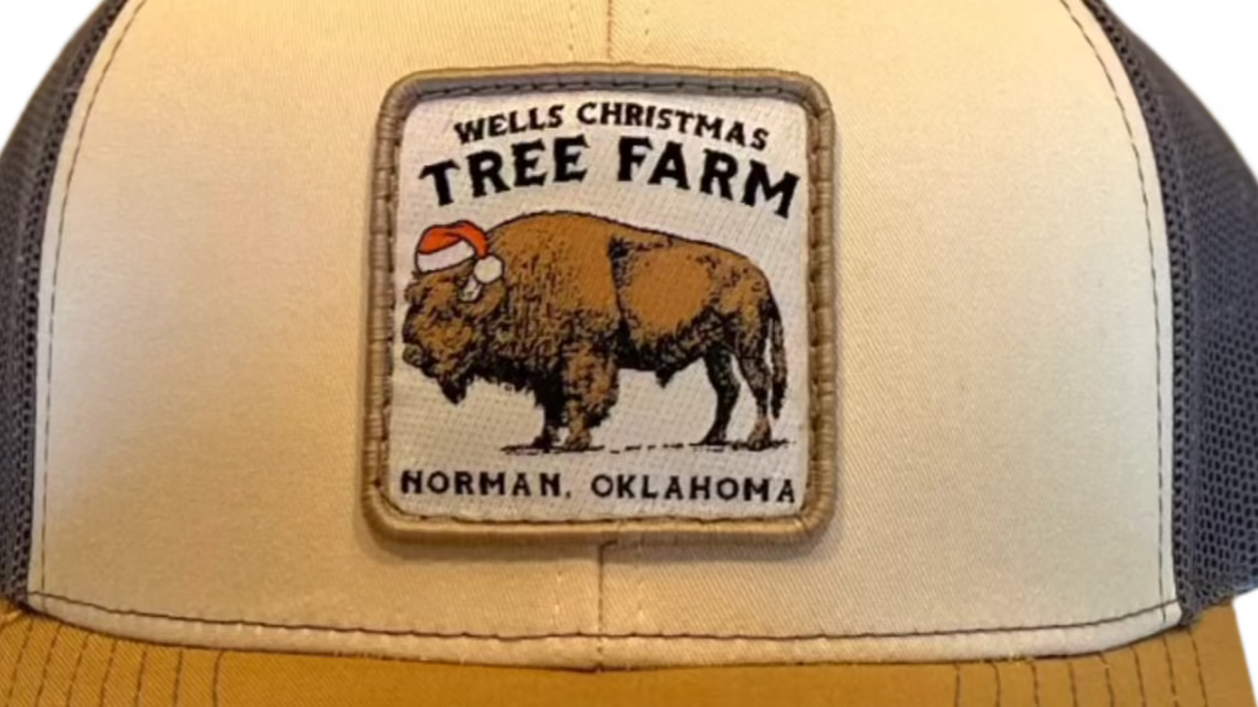 Bison Trucker Hat