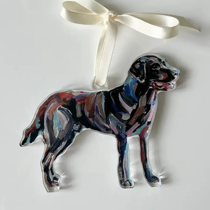 Chelsea McShane Chocolate Lab