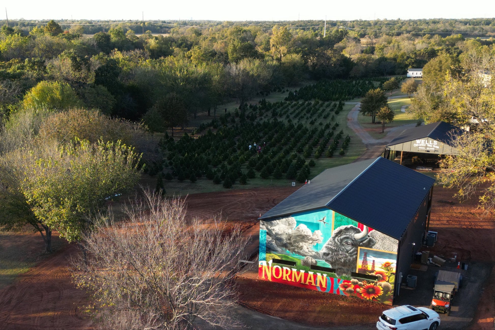 Aerial view of a Christmas tree farm with a building labeled 'Norman' in the foreground.